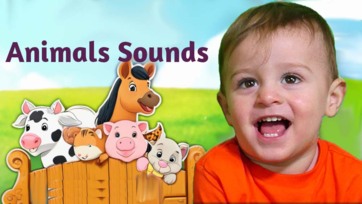 Animal Farm Sound Video for Kids